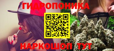 ПСИЛОЦИБИНОВЫЕ ГРИБЫ Новодвинск