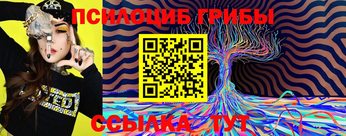 Псилоцибиновые грибы ЛСД Торжок