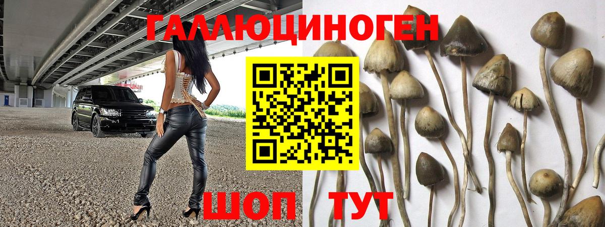 Торжок  Галлюциногенные грибы Psilocybe  Псилоцибиновые грибы Cubensis  купить   Вход с VPN 